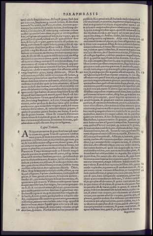 310