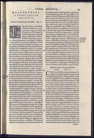 67