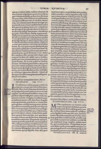 75