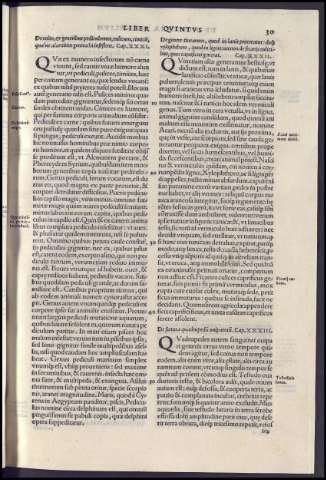 81