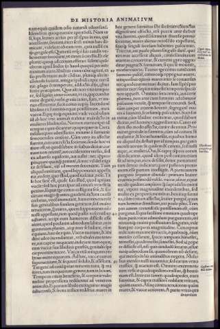 92