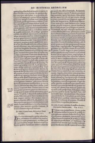 94