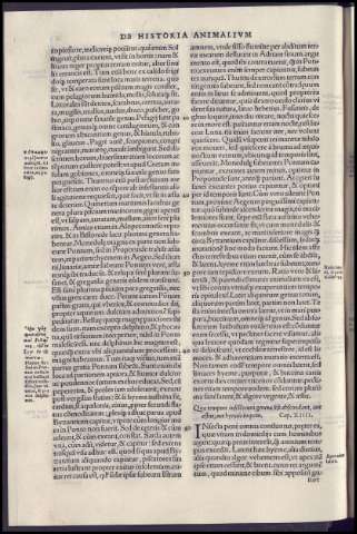 112
