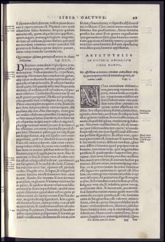 119