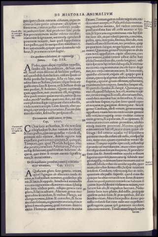 128