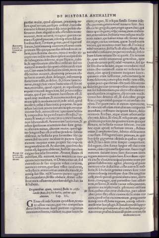 132