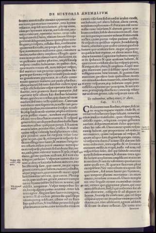 136