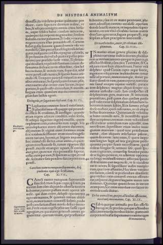 138