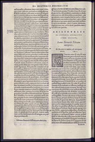 140