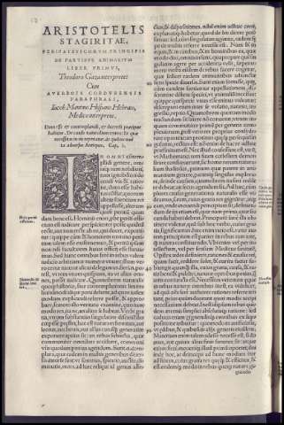 146
