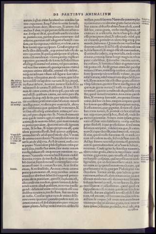 148