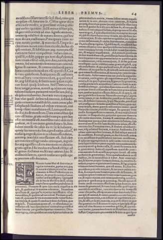 149