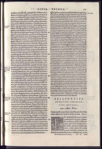 155