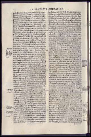 156