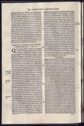 162