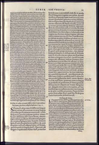 163