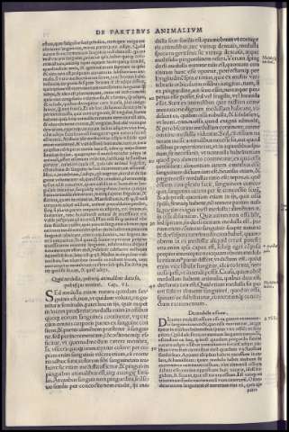 164
