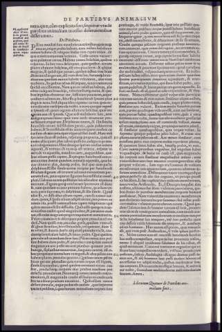 228