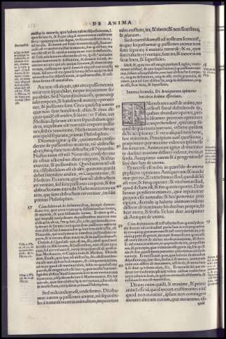244