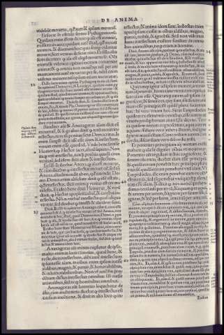 246