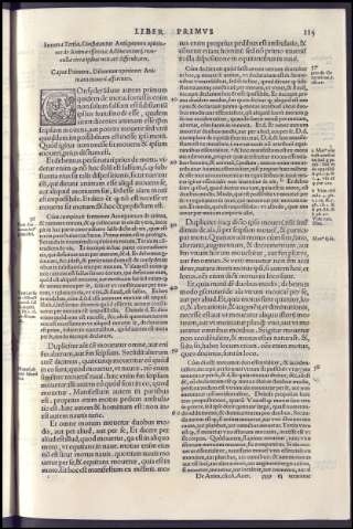 251