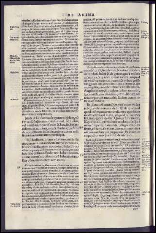 252
