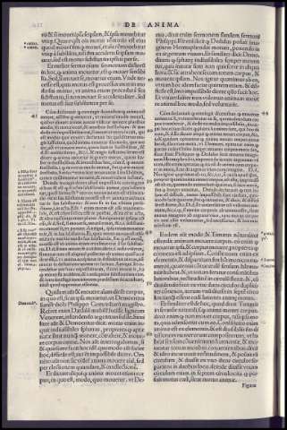 254