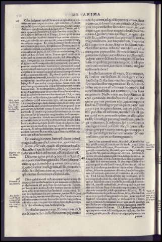 256