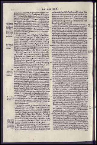 264