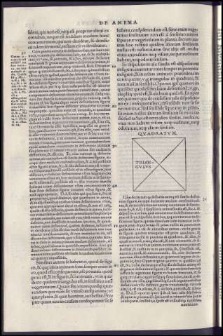 286