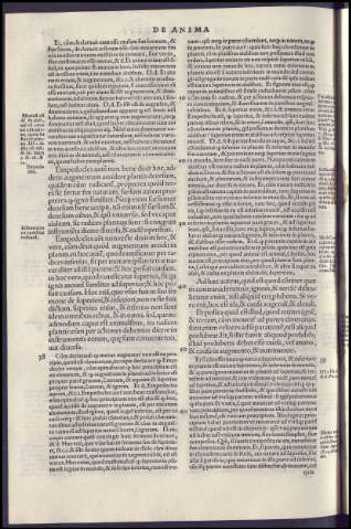 290