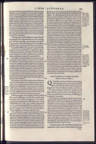 291
