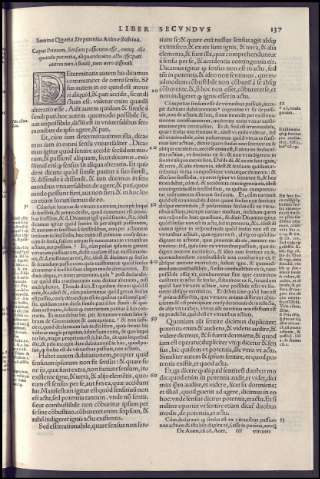 295