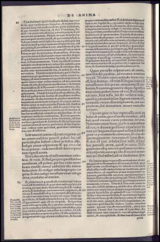 310