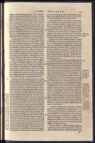 335