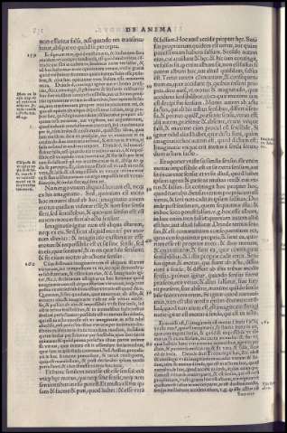 338