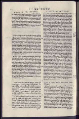 354