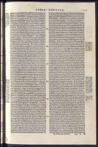 363