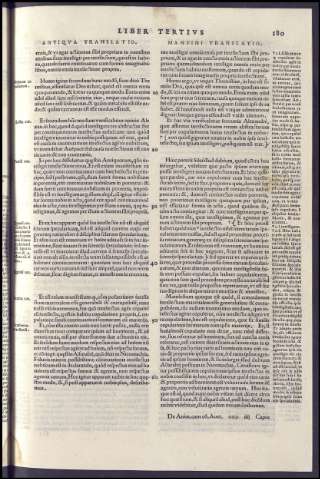 381