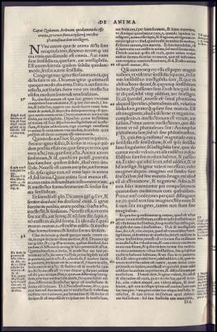 382