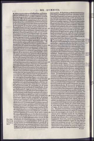 426