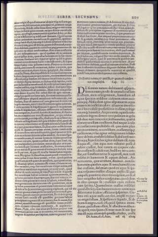 461