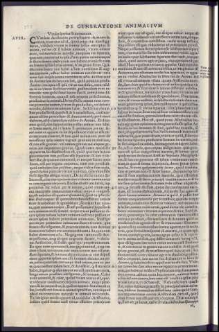 464