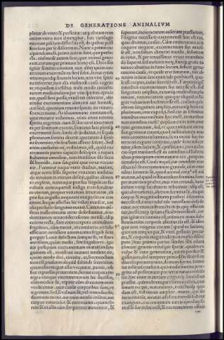 466