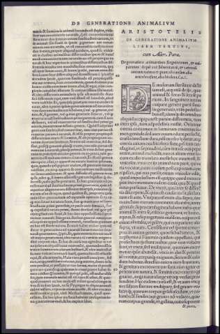 480
