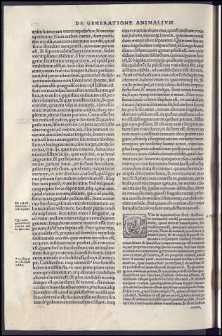 482