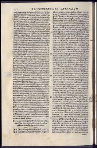486