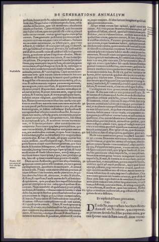 490