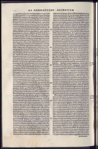 496