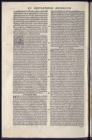 520